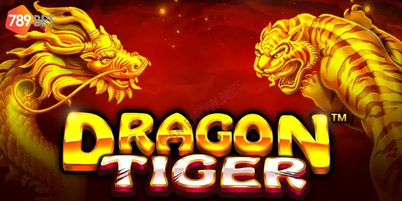 Tại sao nên tìm hiểu cách chơi Rồng Hổ